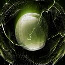 Trapcode Form - Toxic. Animation, Motion Graphics, Photograph, and Post-production project by Laura Garrido - 01.12.2012