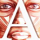 ARTNATOMY/ARTNATOMIA . Desain Produk, Desain Interaktif, Desain Web, Pendidikan, IT, Grafik Gerak, Multimedia, Dan Desain Game proyek oleh Victoria Contreras Flores - 10.09.2006