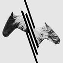 Two sides. Un proyecto de Diseño, Diseño gráfico, Fotografía e Ilustración tradicional de Lynn Design - 28.01.2015