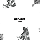 Cap i Cua. Un projet de Design  , et Design graphique de Nati Morales tosar - 31.01.2015