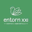 Entorn XXI - Branding. Br, ing, Identit, and Web Design project by Gemma Cid Prats - 02.04.2015