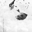 Heaven Dog.. Un proyecto de Fotografía e Ilustración tradicional de Lynn Design - 09.02.2015