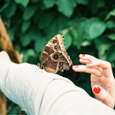 How to care butterflies. Un proyecto de Fotografía de Guillermo de la Torre - 10.02.2015
