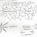#Simbiosis [Infografías]. Projekt z dziedziny Doradztwo kreat, wne, W, darzenia, Trad, c, jna ilustracja i Projektowanie informacji użytkownika Pilar Barrios Varela - 19.01.2015