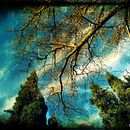 Fotografía. Un projet de Photographie de manugomez - 23.02.2015
