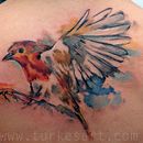 TATTOOS. Un proyecto de Bellas Artes de TURKESA - 24.02.2015