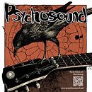 Psychosound Tour Poster. Un proyecto de Ilustración tradicional, Diseño y Música de Ana Marín - 02.03.2015