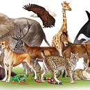 Libros de texto de biología, para bachillerato primaria y secundaria . Un proyecto de Ilustración tradicional de Eduardo Rodriguez Marin - 30.03.2015