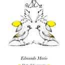 Ilustración Pattern. Br, ing e Identidade, Caligrafia, Design editorial, Design gráfico e Ilustração tradicional projeto de Marianela Grande - 06.04.2015