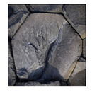 FOTOGRAFÍA. Un projet de Photographie de Oier Irisarri Aedo - 13.02.2014