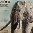 Infografía: Elefantes Increíbles por Oscar Santamariña Ein Projekt aus dem Bereich Bildende Künste, Design, Grafikdesign, Skulptur und Traditionelle Illustration von Oscar Santamarina - 11.04.2015