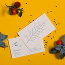 Celine Bertin - Créatrice d'Ambiances Extèrieures . Un proyecto de Br, ing e Identidad, Diseño gráfico y Paisajismo de Ludivine Dallongeville - 31.01.2014
