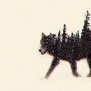 Animals - Proyecto de Experimentos Fotográficos. Projekt z dziedziny  Sztuki piękne, Projektowanie graficzne i Fotografia użytkownika Alexis Pérez Riquelme - 26.04.2015