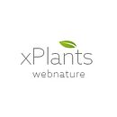 Xplants: new corporate identity and web site. Br, ing, Identit, Art Direction, and Web Design project by Francesco Borella - 04.30.2015
