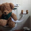 Oso en el Baño. Un proyecto de Fotografía de Antonio Morales - 17.05.2015
