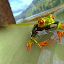 Rigging  . 3D de Laura PELAEZ - 05.18.2015