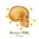 CIENCIAS DE LA NATURALEZA DUNA. Un proyecto de Diseño editorial y Multimedia de Xiduca - 26.05.2015