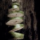 Still life. Photograph project by Ilde Sandrin - 06.04.2015