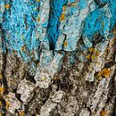 TEXTURAS Ein Projekt aus dem Bereich Bildende Künste und Fotografie von Marta Rodríguez de Tena - 22.06.2015