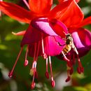 Naturaleza. Un proyecto de Fotografía y Post-producción fotográfica		 de Vanessa Salas - 02.07.2015