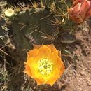 FOTOGRAFÍA 2 COLORES DE MÉXICO. Un proyecto de Fotografía de Aideé Constantino - 21.07.2015