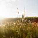 Fotografía Analógica. Projekt z dziedziny Fotografia użytkownika Macarena Cuinat - 22.07.2015