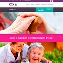 Project manager CCS website and social media. 2015. Un proyecto de Consultoría creativa y Diseño Web de Pedro Guillermo Pérez Rocha - 03.06.2015