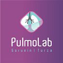 Pulmolab - Diseño y Desarrollo Web. Un proyecto de Desarrollo Web y Diseño Web de Rodrigo Gomez - 16.07.2015