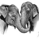 Elephant love medley. Een project van Traditionele illustratie y  Beeldende kunst van Joan del Bas Almendro - 01.09.2015