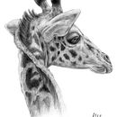 Pt2.beginners . Een project van  Beeldende kunst y Traditionele illustratie van Joan del Bas Almendro - 01.09.2015