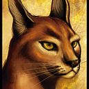Caracal Ein Projekt aus dem Bereich Traditionelle Illustration von Iris de la Mora - 03.06.2015