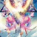 Evolution festival. Un projet de Design graphique de Edgar Chavez - 07.09.2015