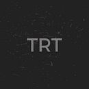 TRT. Projekt z dziedziny Projektowanie graficzne, Trad, c i jna ilustracja użytkownika Nico Tornatti - 09.09.2015