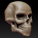 Skull. 3D project by Ivan Moreno - 09.15.2015