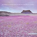 Creatividad gráfica. Un projet de Conseil créatif, Direction artistique, Design , Design graphique , et Publicité de Javier Miguel López - 15.09.2015