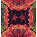 Psychedelic Experiences 1. Multimedia project by Ana Clara Podesta - 09.20.2015