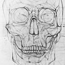 Anatomy - Human Skeleton. Ilustração tradicional projeto de Ramon Velasquez - 29.09.2015