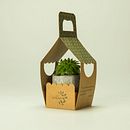 Birdhouses. Packaging project by Miren Camara Egaña - 09.24.2015