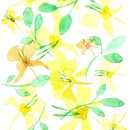 packaging delicado . Pengemasan proyek oleh Lorena Ramírez del Val - 11.27.2015