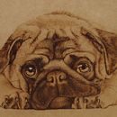Pirograbado. Un projet de Artisanat et Illustration traditionnelle de felixdasilva - 01.12.2015