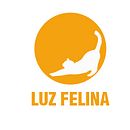 Luz felina. Projekt z dziedziny Br, ing i ident i fikacja wizualna użytkownika Nerea Suárez - 01.12.2015