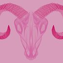The Neon Animals. Design, Graphic Design, and Traditional illustration project by Bárbara Araque Márquez - 12.04.2015