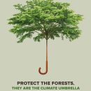 WWF International. Un progetto di Direzione artistica, Design, Graphic design e Pubblicità di Jose Llopis - 08.12.2015