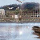 2º Premio en concurso de Arquitectura Ecológica. Ence Pontevedra.. Un projet de 3D, Architecture, Beaux Arts, Conseil créatif, Design , Design graphique, Scénographie, Photographie, Pa, sagisme , et Postproduction photographique de Carmen Villar Guillamón - 26.06.2013