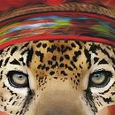 Secoya. Een project van  Art direction y Traditionele illustratie van Flavio Hugo Vilan Landeiro - 14.12.2015