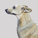 Mascotas . Un projet de Beaux Arts, Conception de personnages, Design graphique, Illustration traditionnelle , et Peinture de Inges Bizama Toledo - 28.04.2015