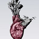 animals and bodies. Un projet de Animation, Artisanat, Beaux Arts, Collage, Design , Design d'intérieur, Illustration traditionnelle, Peinture, Publicité , et Sérigraphie de Susana MLeón - 25.12.2015