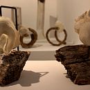 Seres contradictorios. Un proyecto de Escultura de Ruth Aquino Calcaño - 12.05.2015