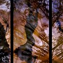 Solea en el bosque. Art Direction, Set Design, and Video project by David Rey - 01.07.2016