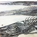 Peces sobre madera. Un proyecto de Bellas Artes e Ilustración tradicional de María Ester Izquierdo Guillamot - 08.01.2016